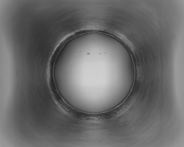 X0000111820580200908061137