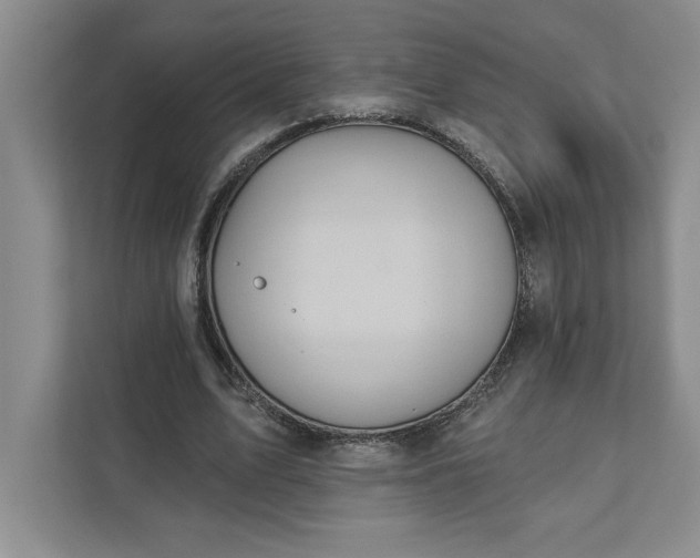 X0000111820583200908061137