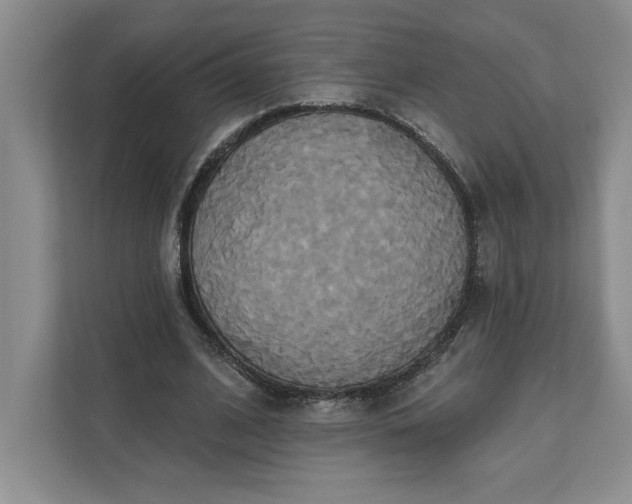 X0000111820584200908061137