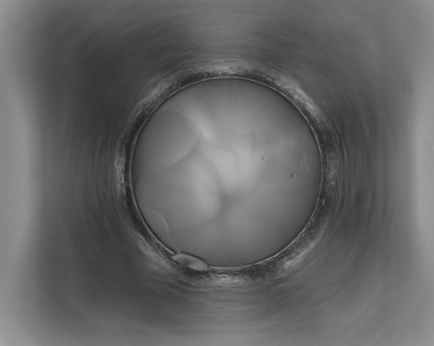 X0000111820585200908061137