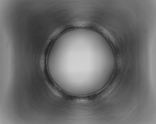 X0000111820586200908061137