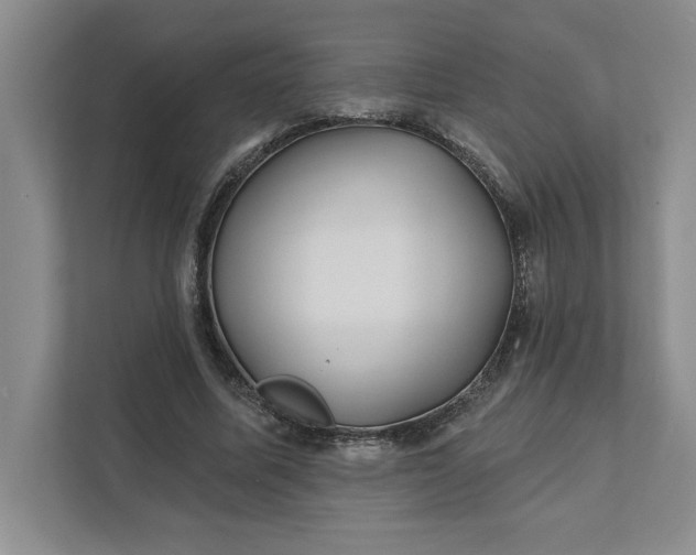 X0000111820587200908061137