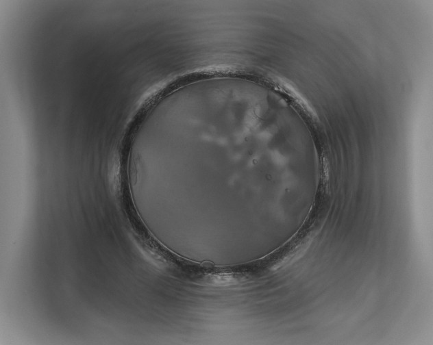 X0000111820588200908061137