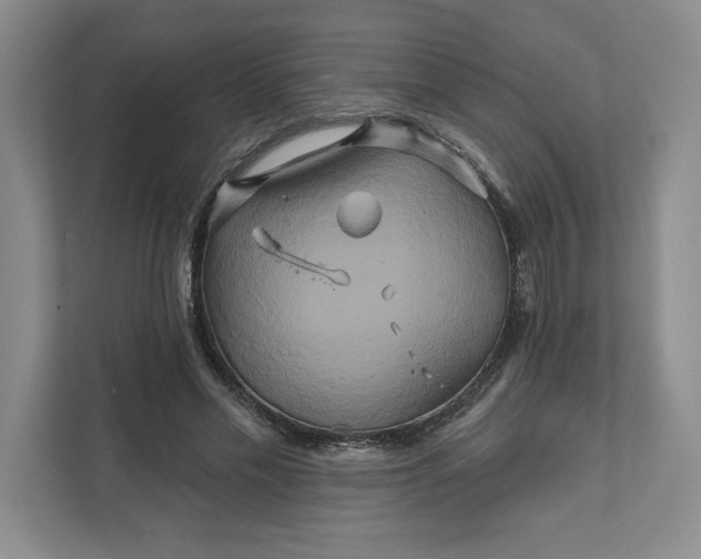 X0000111820589200908061137