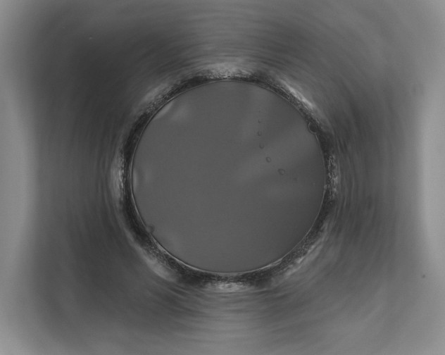 X0000111820590200908061137