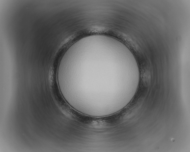 X0000111820591200908061137