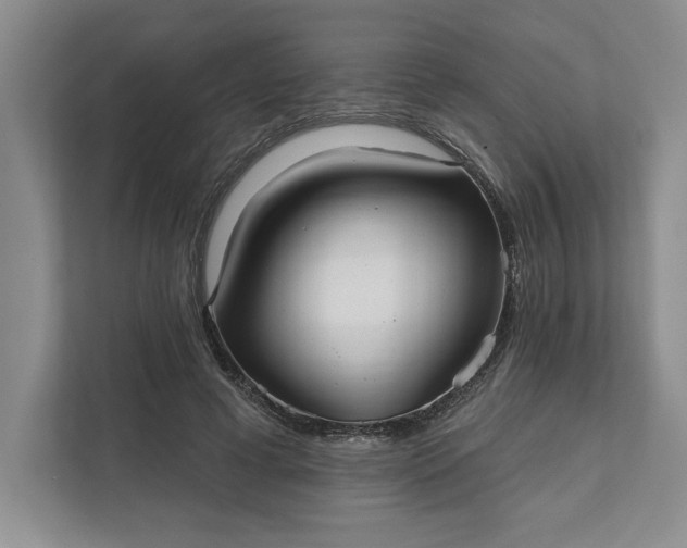 X0000111820593200908061137