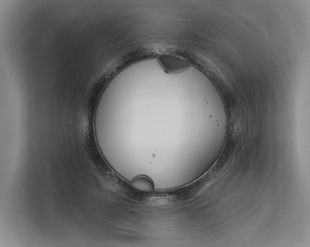 X0000111820595200908061137