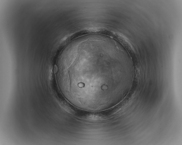 X0000111820596200908061137