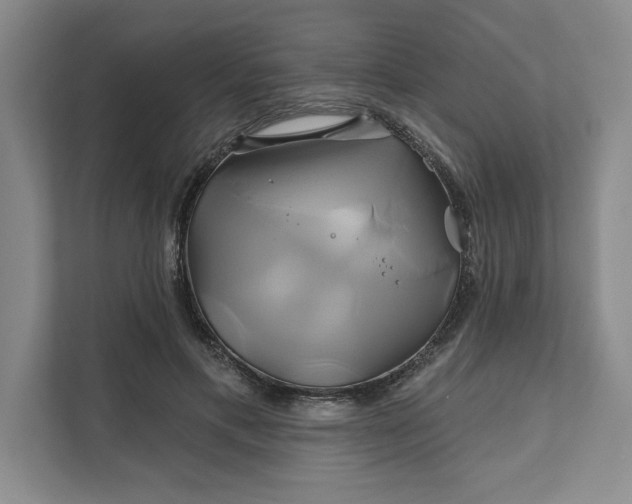 X0000111820597200908061137