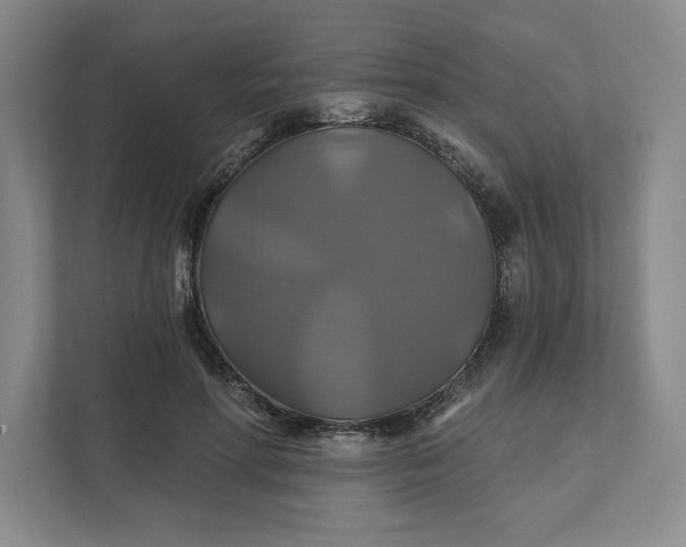 X0000111820598200908061137