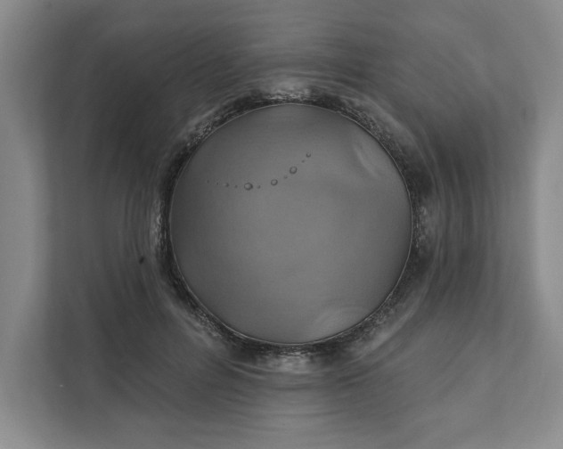 X0000111820600200908061137