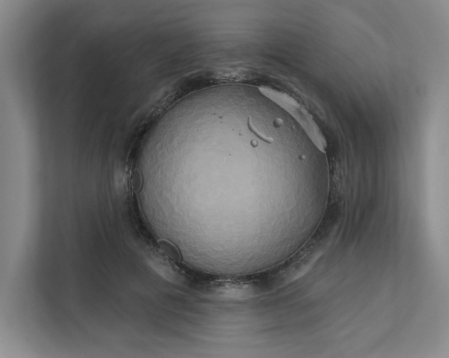 X0000111820601200908061137