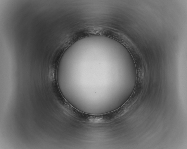 X0000111820602200908061137