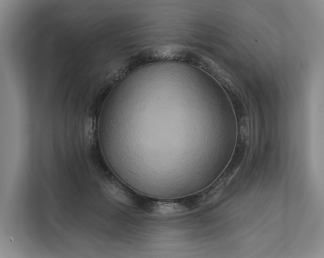 X0000111820605200908061137