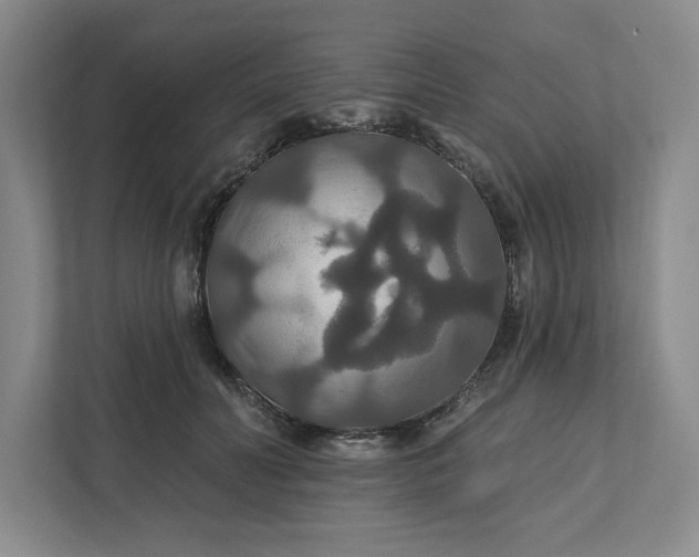 X0000111820606200908061137