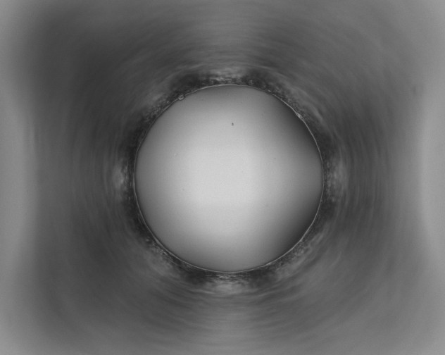 X0000111820608200908061137