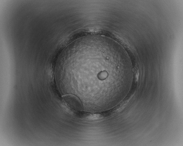 X0000111820609200908061137