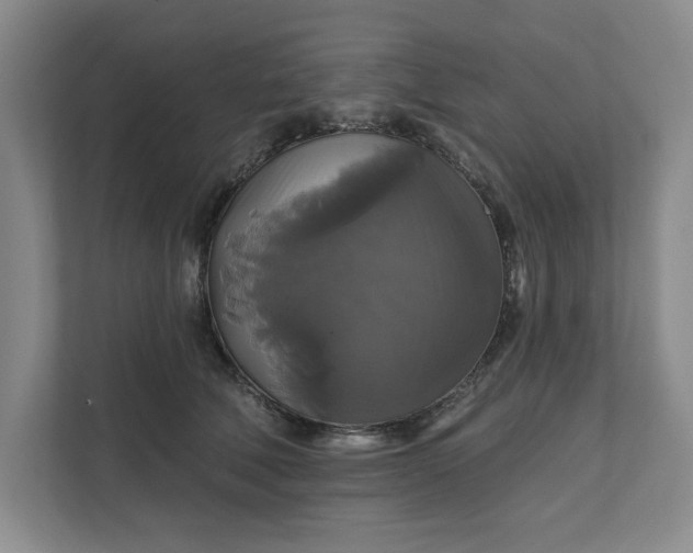 X0000111820610200908061137