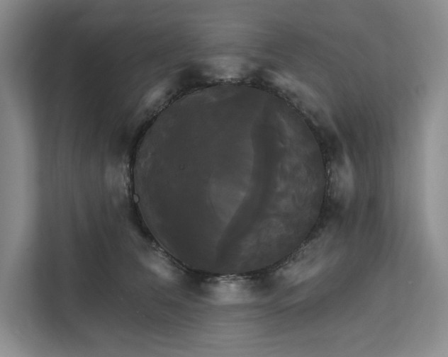 X0000111820612200908061137