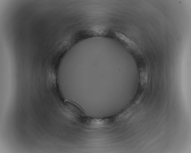 X0000111820613200908061137