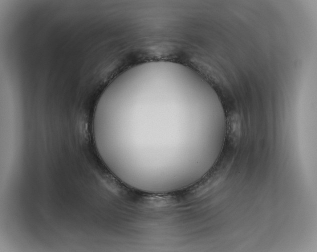 X0000111820615200908061137