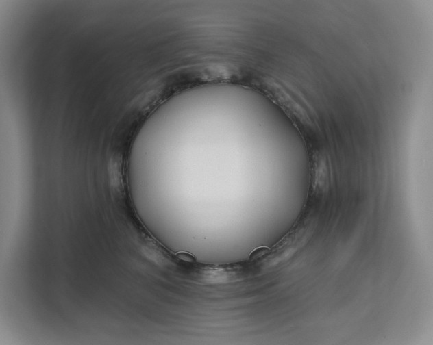 X0000111820616200908061137