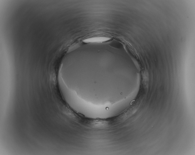 X0000111820617200908061137