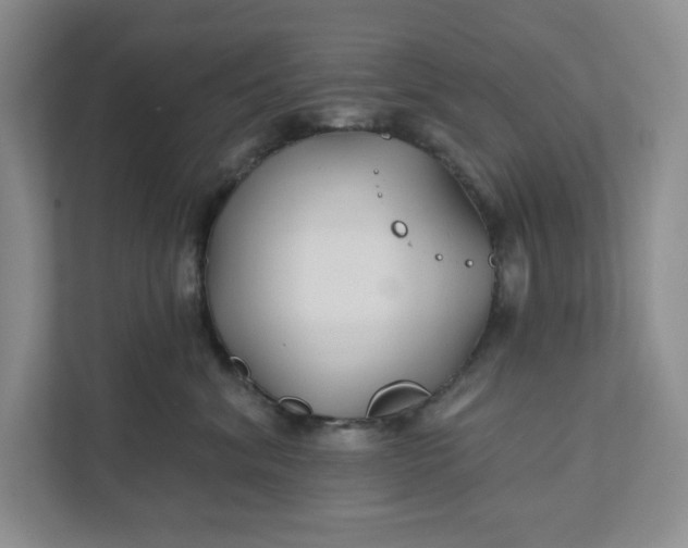 X0000111820620200908061137