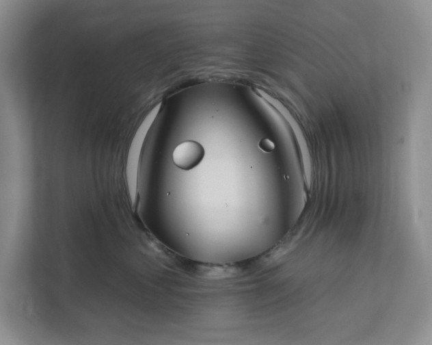 X0000111820621200908061137