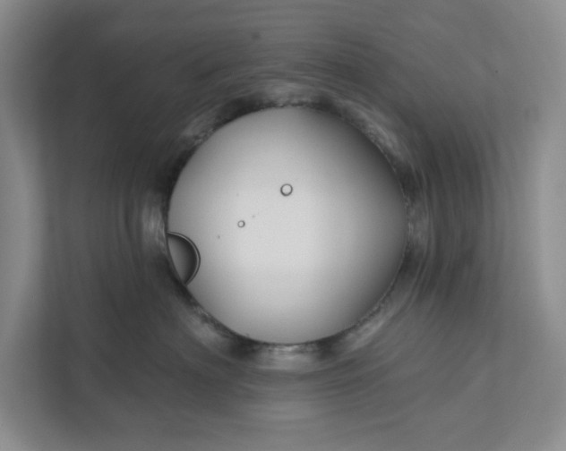 X0000111820622200908061137