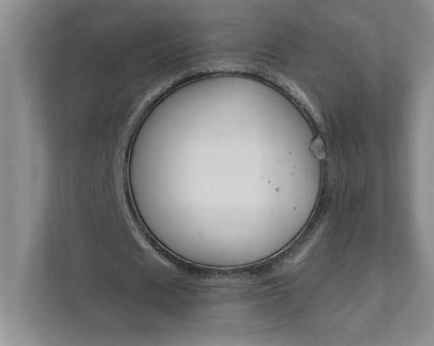 X0000111820625200908061136