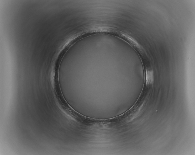 X0000111820627200908061136