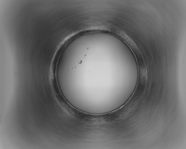 X0000111820628200908061136