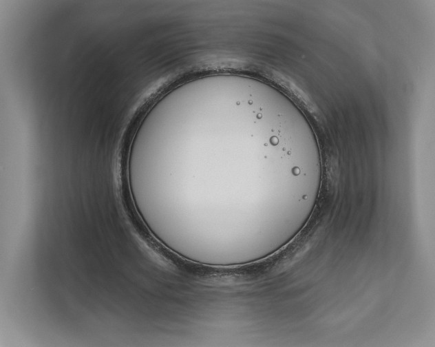 X0000111820629200908061136