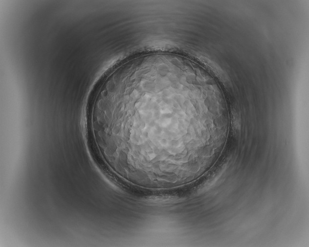 X0000111820630200908061136