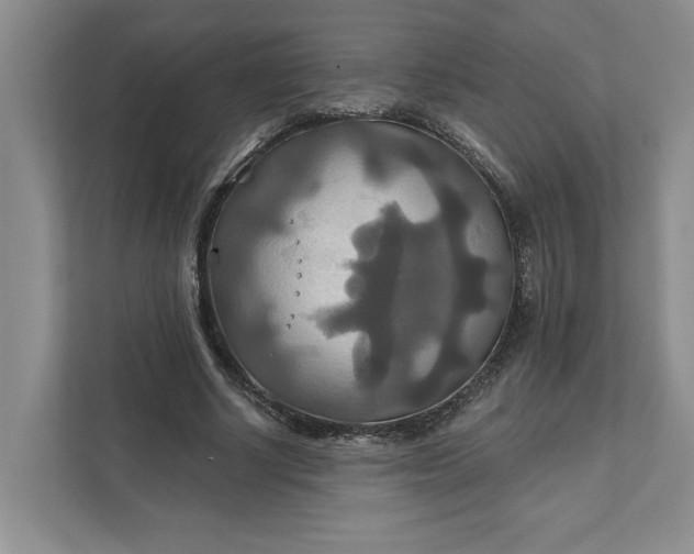 X0000111820634200908061136