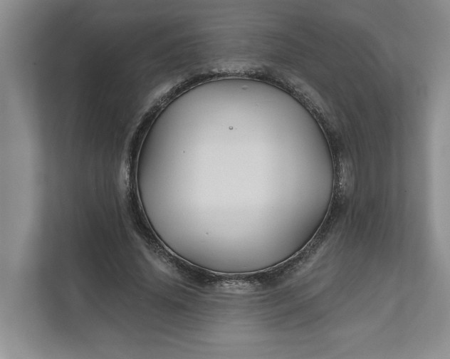 X0000111820636200908061136