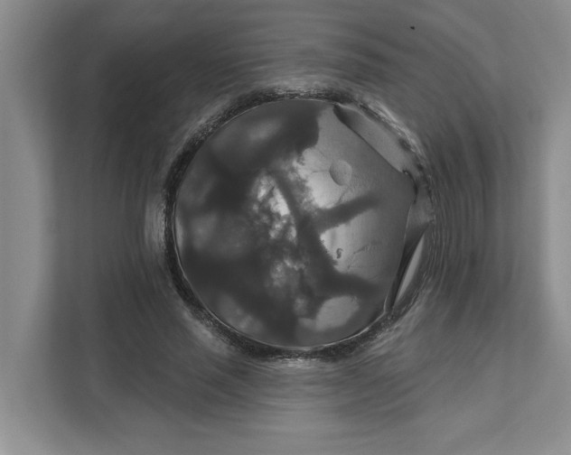 X0000111820637200908061136