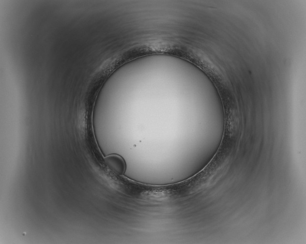 X0000111820639200908061136