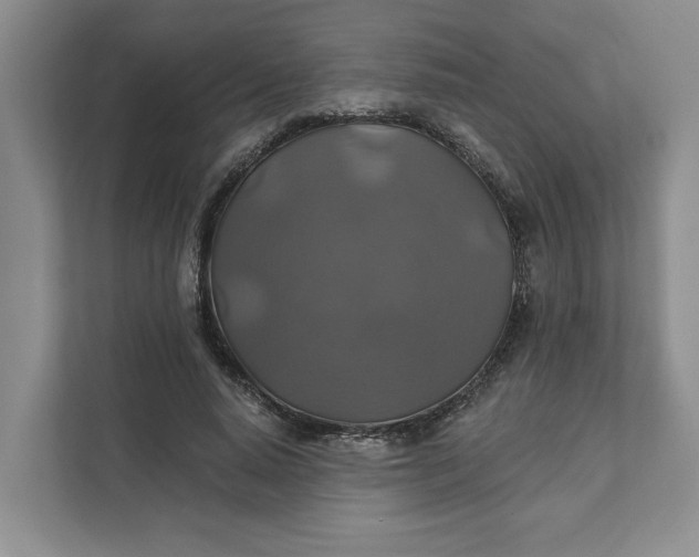 X0000111820640200908061136