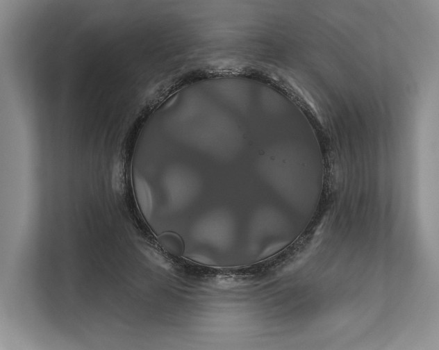 X0000111820641200908061136