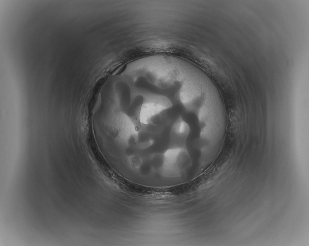 X0000111820642200908061136