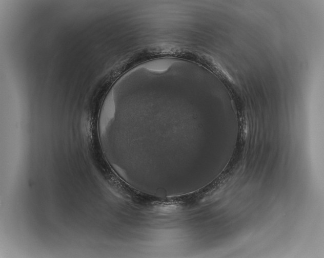 X0000111820643200908061136