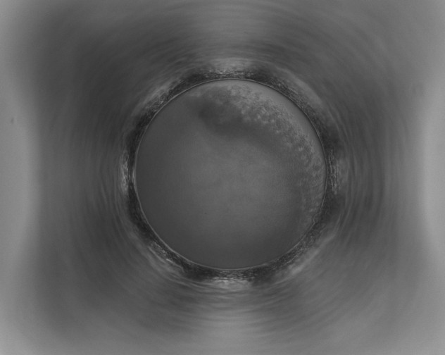 X0000111820644200908061136