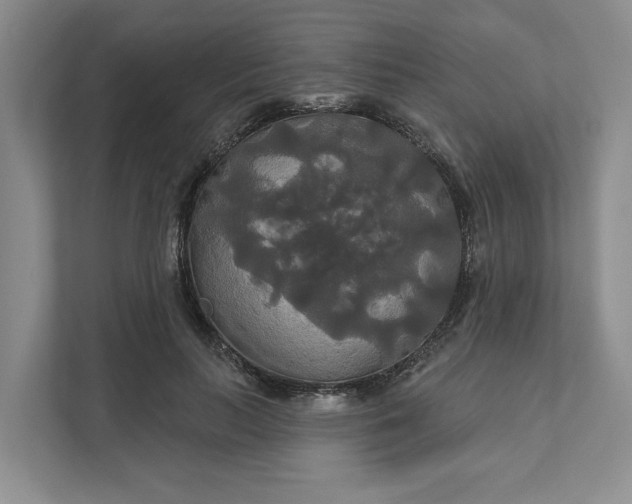 X0000111820647200908061136