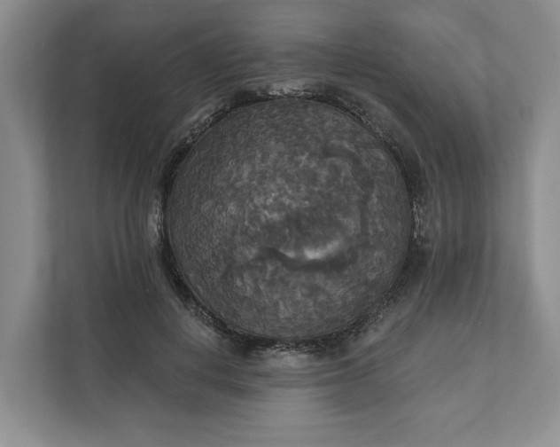 X0000111820648200908061136