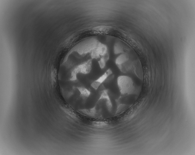 X0000111820649200908061136