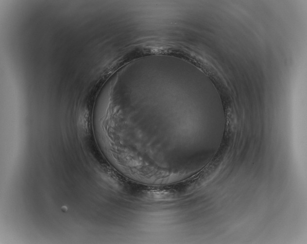 X0000111820650200908061136