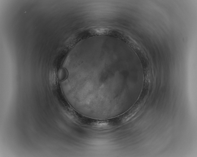 X0000111820651200908061136